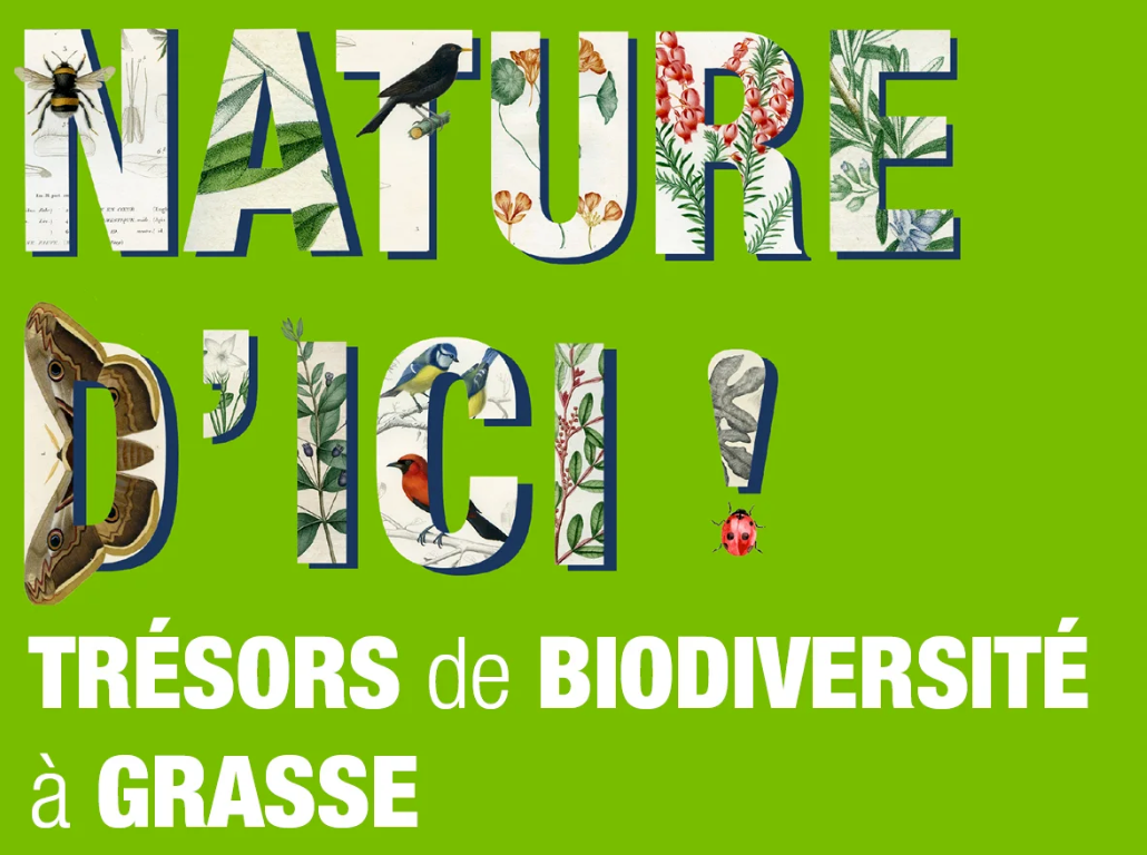 Nature d’ici ! Trésors de biodiversité à Grasse